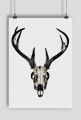 Poster - deer skull #1