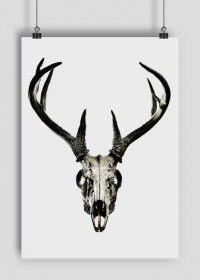 Poster - deer skull #1
