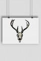 Poster - deer skull vol. 2