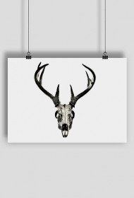 Poster - deer skull vol. 2