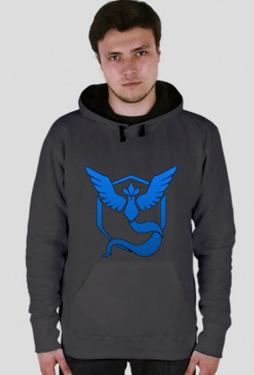 Team Mystic - Bluza Double Colour