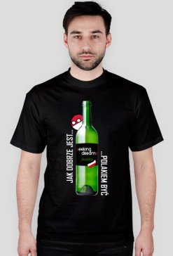 Seeking Dreams - Bo to Polska właśnie...