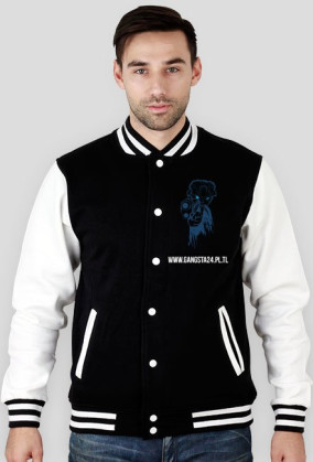 Bluza