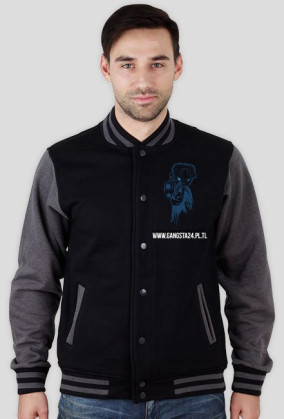 Bluza