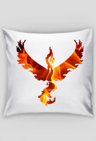 Fire Valor |Poszewka na jasia|