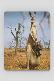 Podkładka kangur