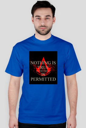 Nothing Is True Everything is permitted