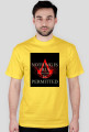 Nothing Is True Everything is permitted