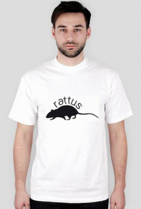 logo rattus