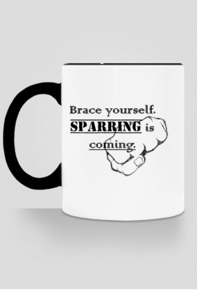 Kubek Sparring is coming. II