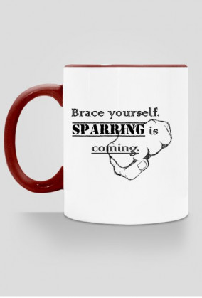 Kubek Sparring is coming. II