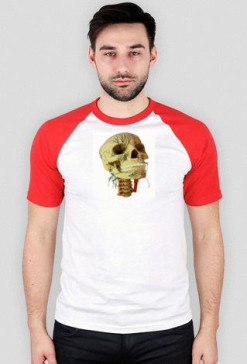 skull 2