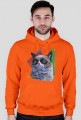 GRAMPY CAT - NO!