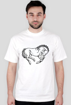 Pleciony Konik