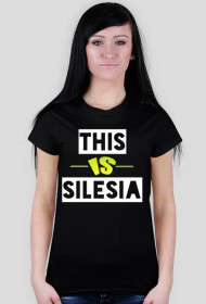 This Is Silesia