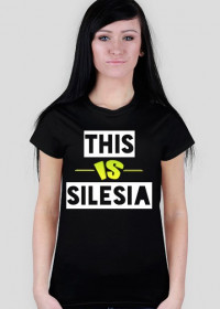 This Is Silesia