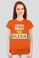 This Is Silesia