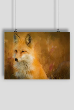 foxy3