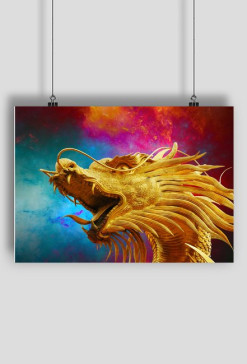 dragon@