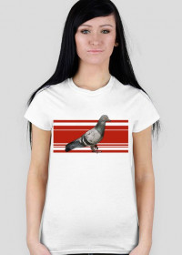 Koszulka damska Gołąb