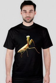 T-shirt męski Złota Hierodula