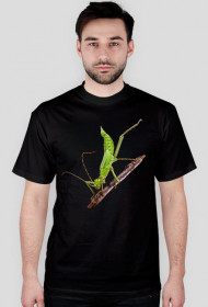 T-shirt męski Straszyk olbrzymi