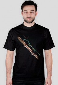 T-shirt męski Achrioptera Fallax