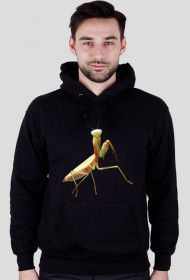 Bluza Złota Hierodula