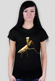 T-shirt damski Złota Hierodula
