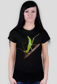 T-shirt damski Straszyk olbrzymi