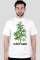 marihuana pachnie lasem