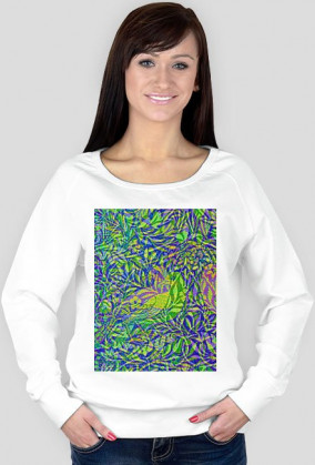 Bird Bluza Damska Fruit of the Loom