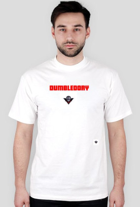 DUMBLEDORY Team Mishel Mashel