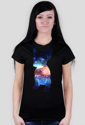 Bulldog Francuski Galaxy