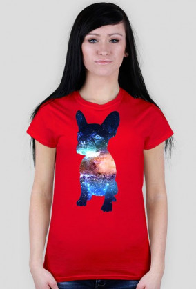 Bulldog Francuski Galaxy