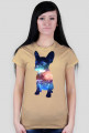 Bulldog Francuski Galaxy