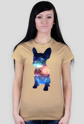 Bulldog Francuski Galaxy