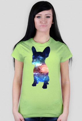 Bulldog Francuski Galaxy