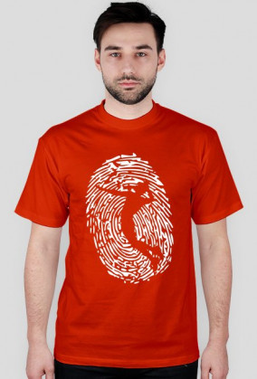 Fingerprint Volley