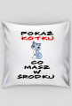 Prezentovo - poszewka na poduszkę - pokaż kotku