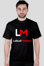 Labud Motors