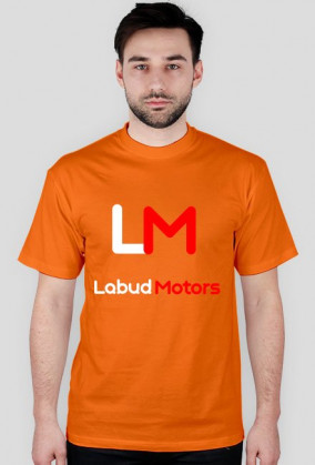 Labud Motors
