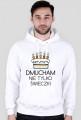 Bluza z nadrukiem (FAQ)