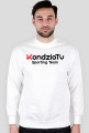 Bluza
