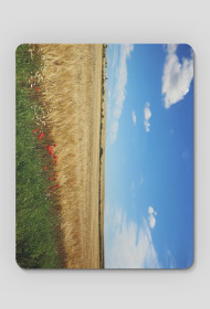 podkładka pod myszkę - pole