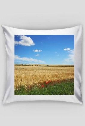 poduszka - pole