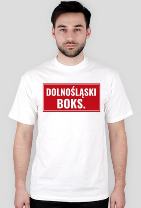 Dolnośląski BOKS