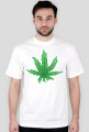 White W33D