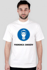 Pogromca smogów