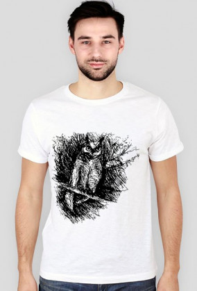 Foolish owl